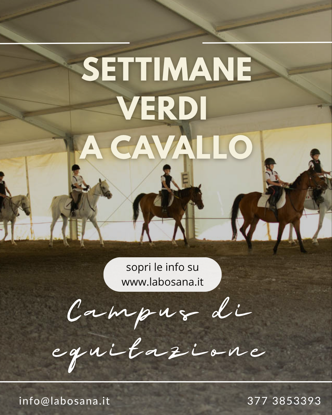 La Bosana - agriturismo e centro ippico - — foto 4