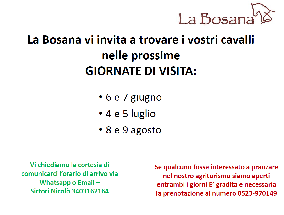La Bosana - agriturismo e centro ippico - — foto 7