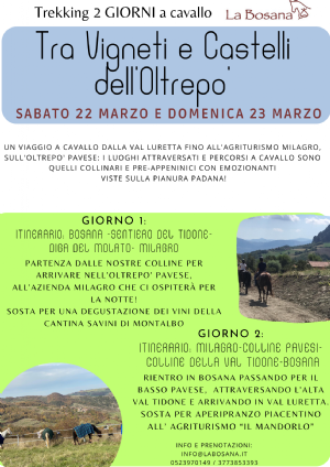 TRA I VIGNETI E I CASTELLI DELL'OLTREPO'