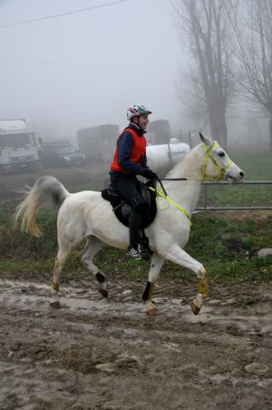 Gara Qualificante Regionale: 14 febbraio 2016