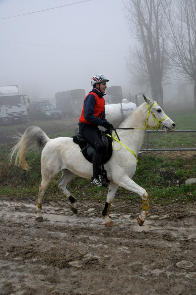 cavallo endurance