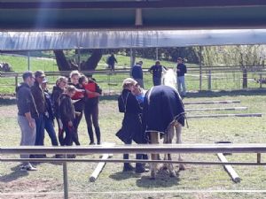Gara Endurance 7 e 8 Aprile 2018 .... In Bosana spazio per tutti e per lo sport di tutti!! Gara Endurance 7 e 8 Aprile 2018 .... In Bosana spazio per tutti e per lo sport di tutti!!