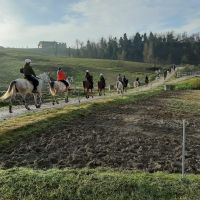 USCITA A CAVALLO GIORNALIERA  ad ARCELLO