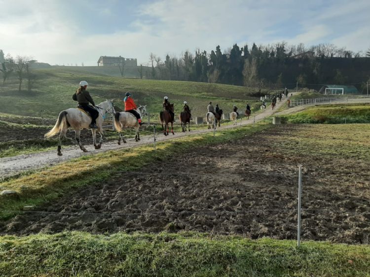 Foto da Irene Origgi (2)