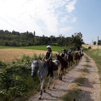 il gruppo a cavallo