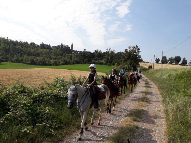 il gruppo a cavallo