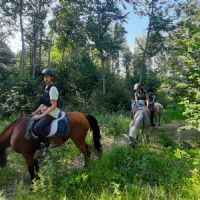 campo cavallo in pineta