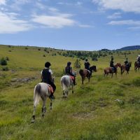 campo cavallo in pineta