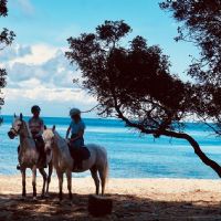 Passeggiate sulla Spiaggia