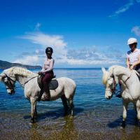 Passeggiate sulla Spiaggia