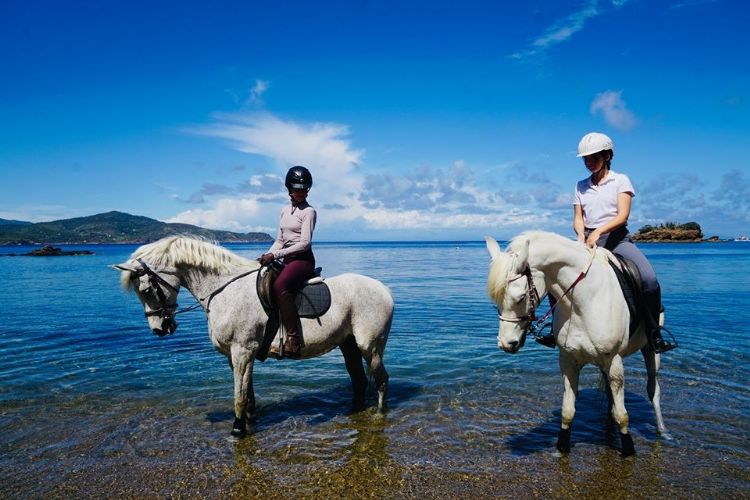 Passeggiate sulla Spiaggia