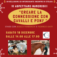 Creare la connessione con il cavallo e pony