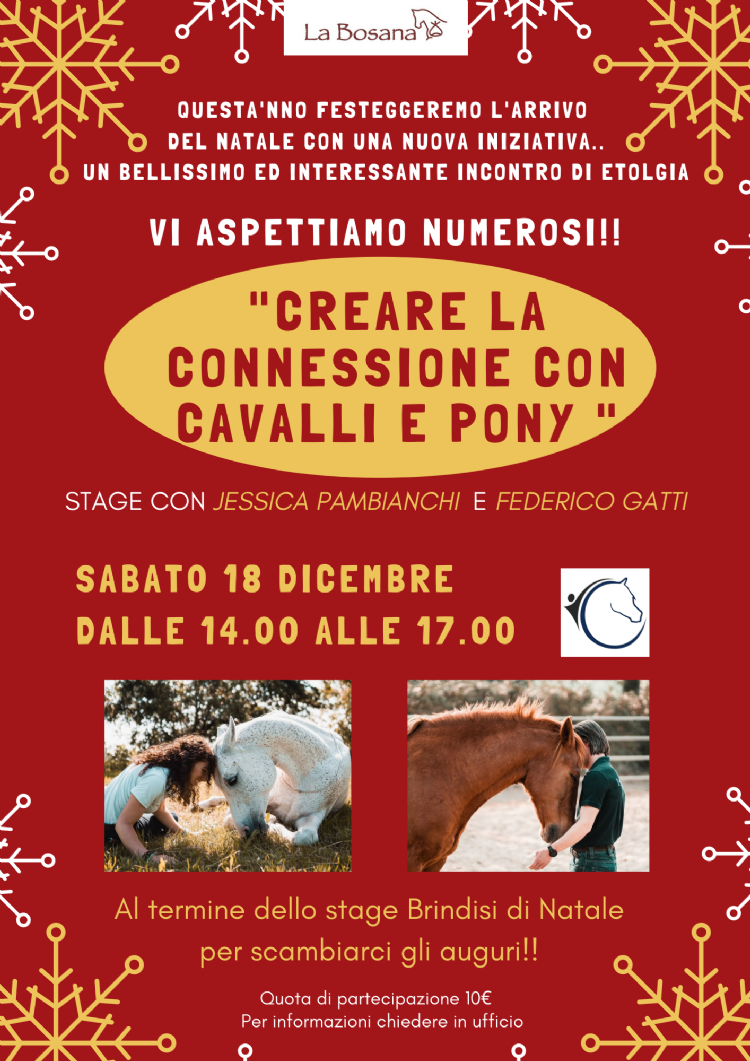 Creare la connessione con il cavallo e pony