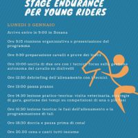 i tecnici bosana organizzano (2)