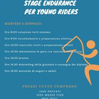 i tecnici bosana organizzano (3)