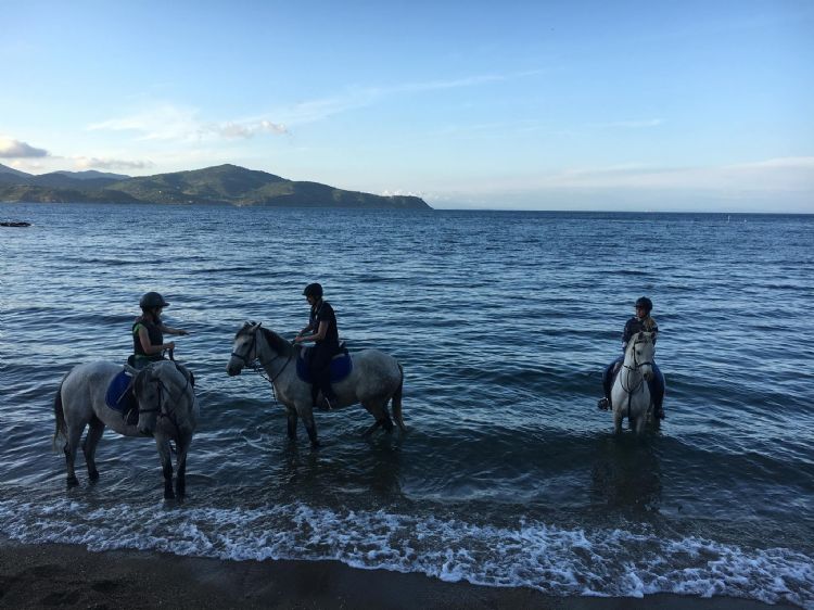 La Bosana Costa dei Gabbiani