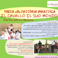 INVITA LA TUA SCUOLA IN BOSANA!!!