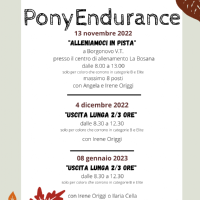 PROGETTO PONY ENDURANCE