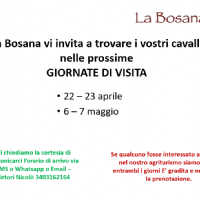 22-23 APRILE E 6-7 MAGGIO 2023: Giornate di visita cavalli a riposo