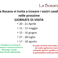 Giornate di visita cavalli a riposo