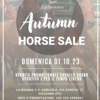 AUTUMN HORSE SALE - DOMENICA 1 OTTOBRE 2023