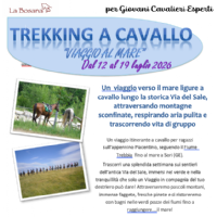 Viaggio a Cavallo al Mare 2026