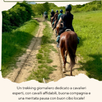 Beige E Verde Natura Passeggiate a Cavallo La Tua Storia 3