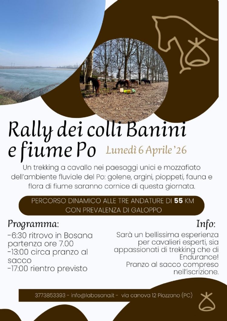 595c5db5 5fcc 459a bd4f 499a0bae1408