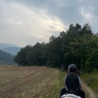 WhatsApp Image 2026 03 13 at 08.33.33t.