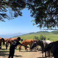 16aa7538 608e 494d ac91 6da6c9bccf9b