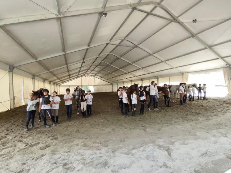 WhatsApp Image 2026 03 13 at 08.33.32.