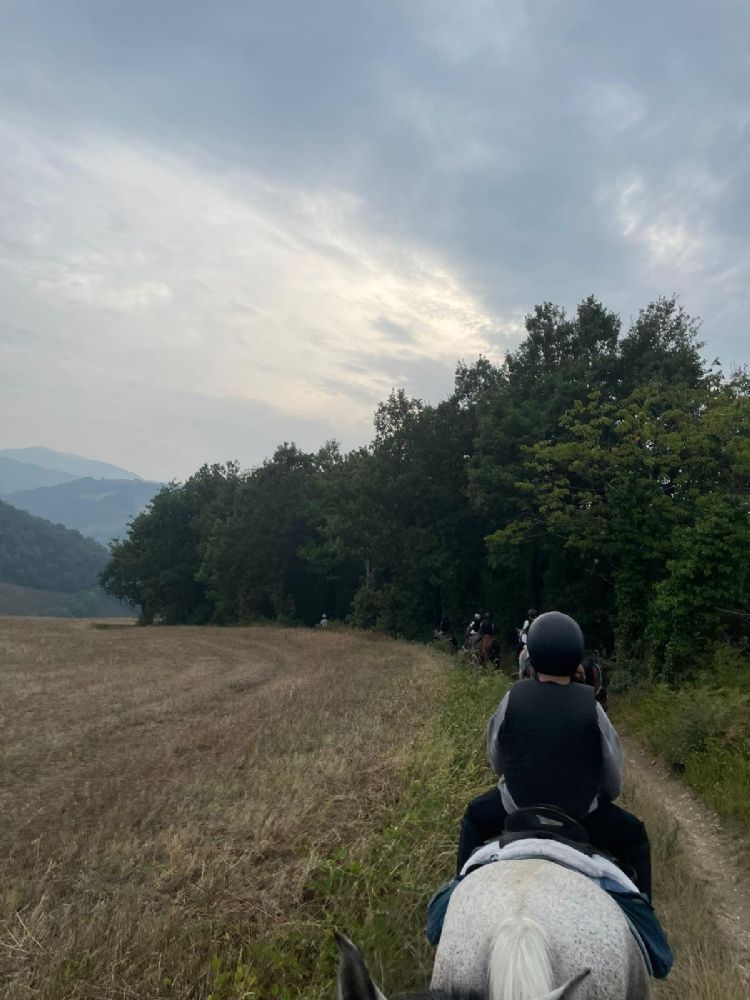 WhatsApp Image 2026 03 13 at 08.33.33t.