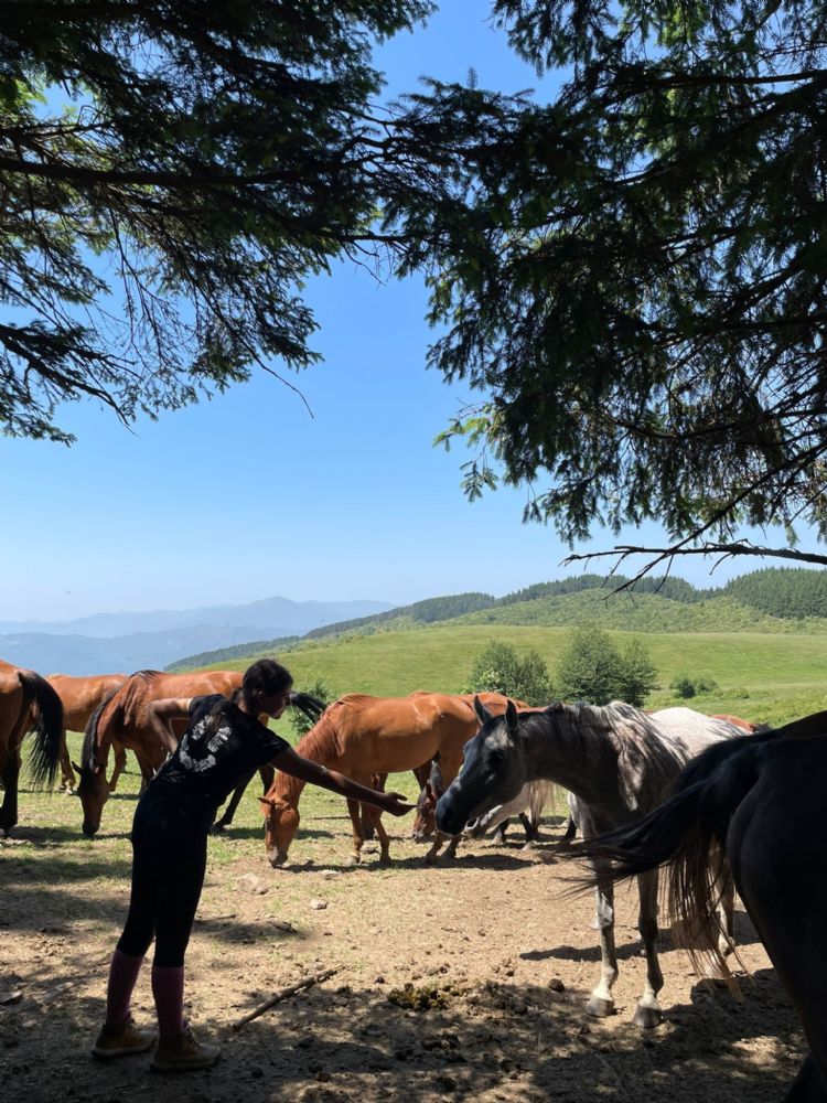 16aa7538 608e 494d ac91 6da6c9bccf9b