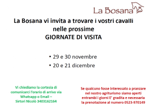 WEEKEND DI VISITA CAVALLI A RIPOSO: