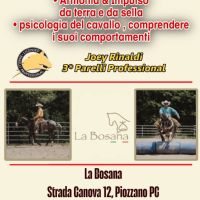 STAGE CON JOEY RINALDI