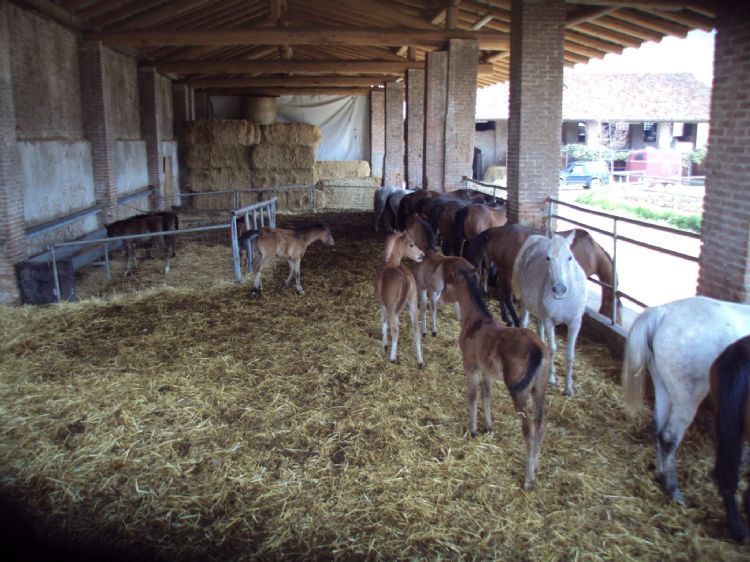 Fattrici in attesa di controlli ginecologici