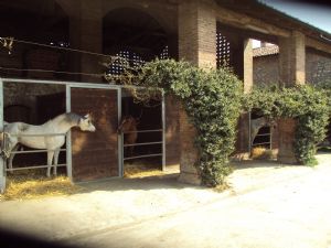 PACCHETTO PENSIONE IN BOX