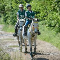 PONY ENDURANCE: I BELLISSIMI MOMENTI DELLA NOSTRA USCITA IN GARA DEL 17 MAGGIO 2015!