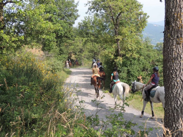 passegiata a cavallo